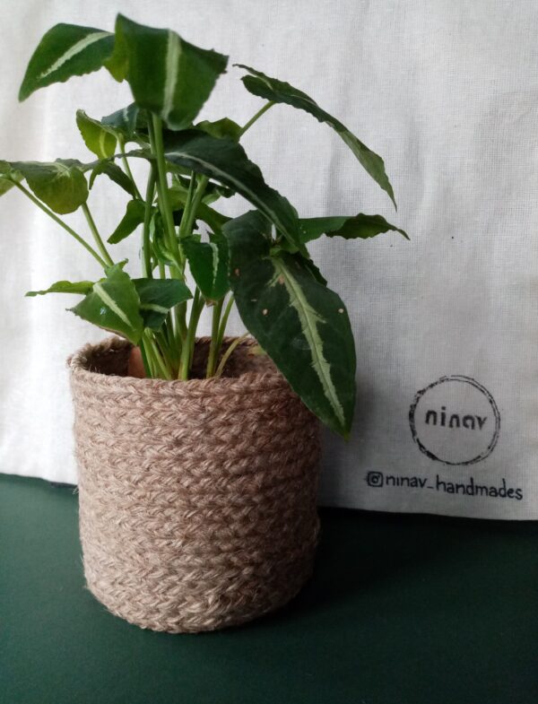Hand Made plant pot